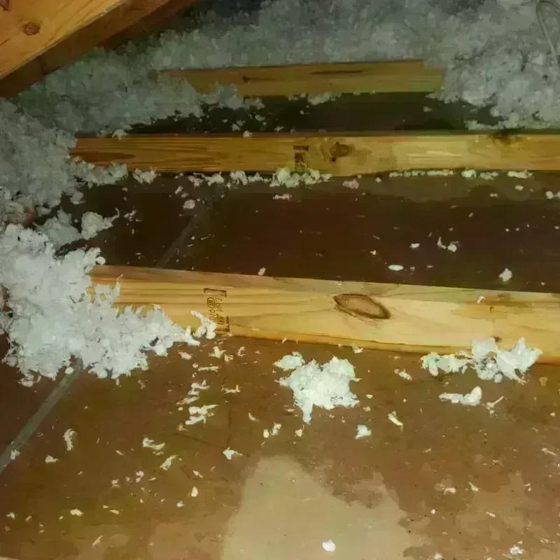 Attic Water Damage in Kimberly, WI