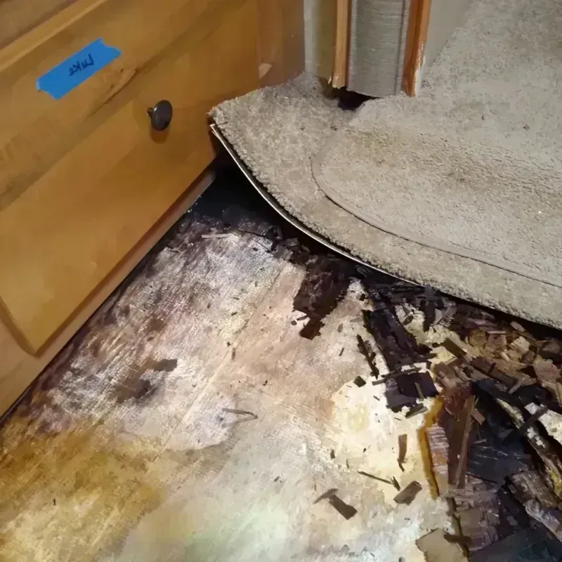 Wood Floor Water Damage in Kimberly, WI